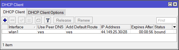 mikrotik-dhcp-lease.png